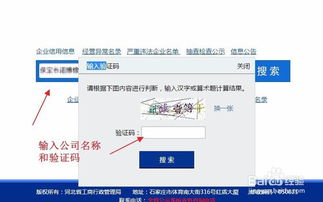 全國企業(yè)信息查詢?nèi)ヂ?權威渠道與方法詳解